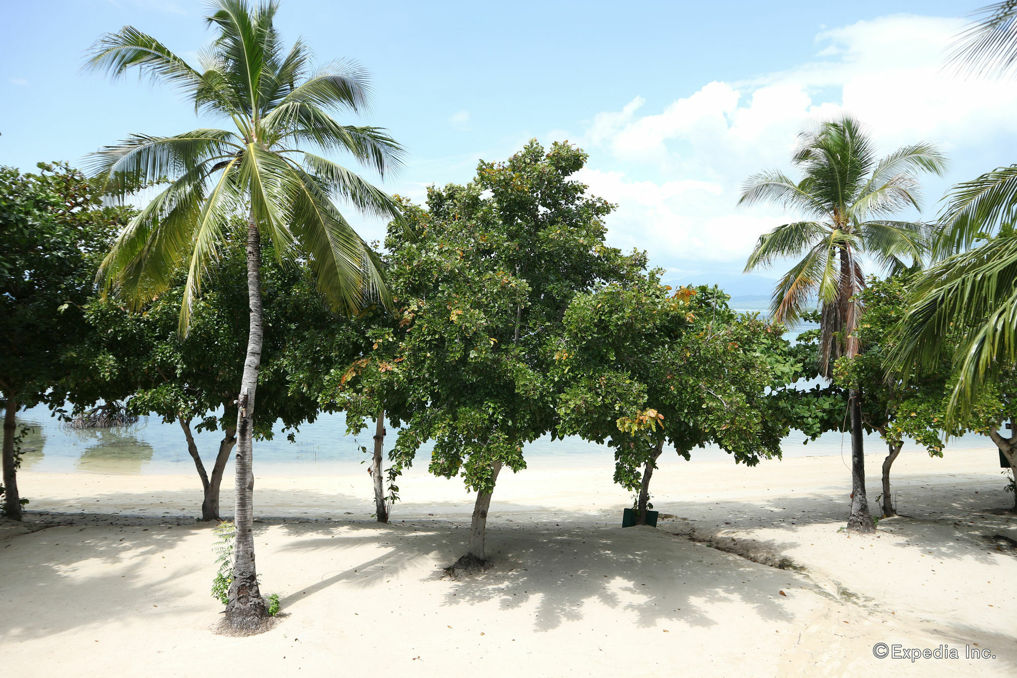 Dos Palmas Island Resort & Spa Puerto Princesa Exterior photo